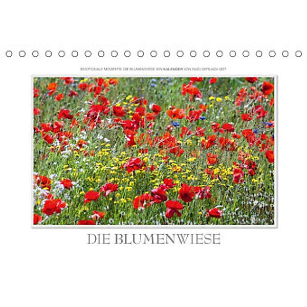 Emotionale Momente: Die Blumenwiese. (Tischkalender 2022 DIN A5 quer), Ingo Gerlach GDT