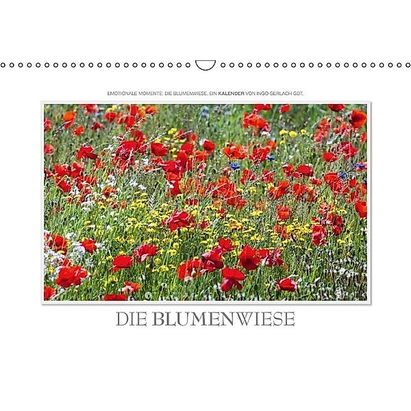 Emotionale Momente: Die Blumenwiese. (Wandkalender 2014 DIN A3 quer), Ingo Gerlach