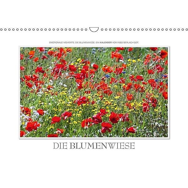 Emotionale Momente: Die Blumenwiese. (Wandkalender 2017 DIN A3 quer), Ingo Gerlach, Ingo Gerlach GDT