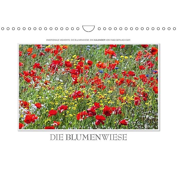 Emotionale Momente: Die Blumenwiese. (Wandkalender 2018 DIN A4 quer), Ingo Gerlach, Ingo Gerlach GDT