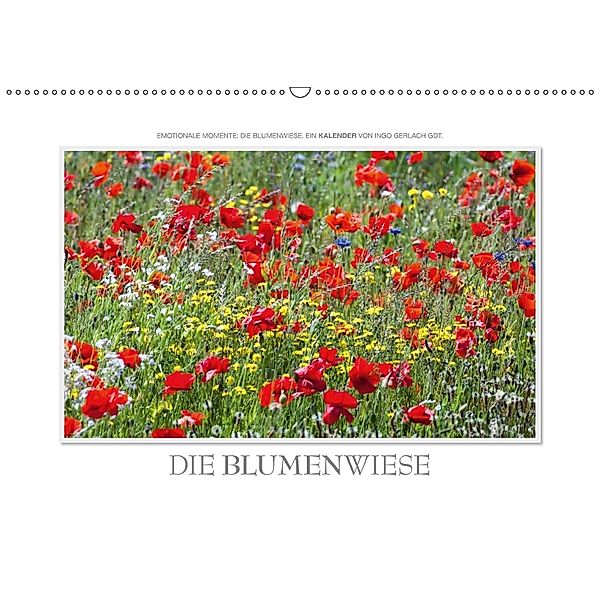 Emotionale Momente: Die Blumenwiese. (Wandkalender 2018 DIN A2 quer), Ingo Gerlach, Ingo Gerlach GDT