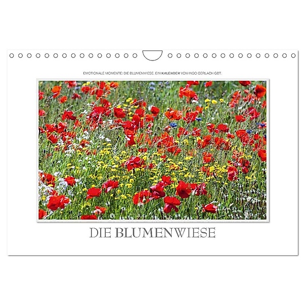 Emotionale Momente: Die Blumenwiese. (Wandkalender 2024 DIN A4 quer), CALVENDO Monatskalender, Ingo Gerlach GDT