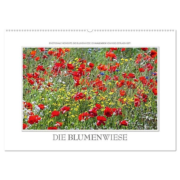 Emotionale Momente: Die Blumenwiese. (Wandkalender 2024 DIN A2 quer), CALVENDO Monatskalender, Ingo Gerlach GDT