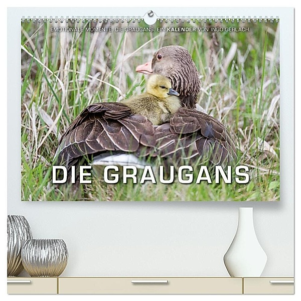 Emotionale Momente: Die Graugans. (hochwertiger Premium Wandkalender 2024 DIN A2 quer), Kunstdruck in Hochglanz, Ingo Gerlach