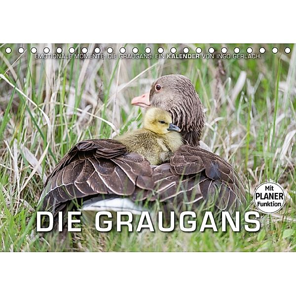 Emotionale Momente: Die Graugans. (Tischkalender 2018 DIN A5 quer), Ingo Gerlach