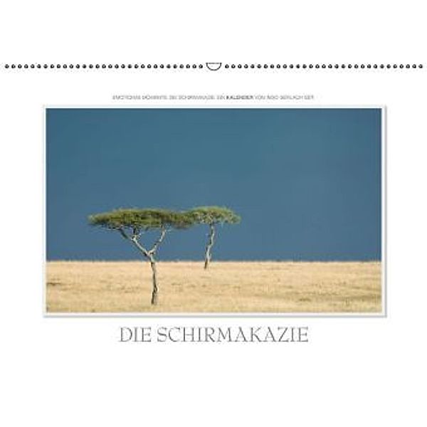 Emotionale Momente: Die Schirmakazie. / CH-Version (Wandkalender 2016 DIN A2 quer), Ingo Gerlach