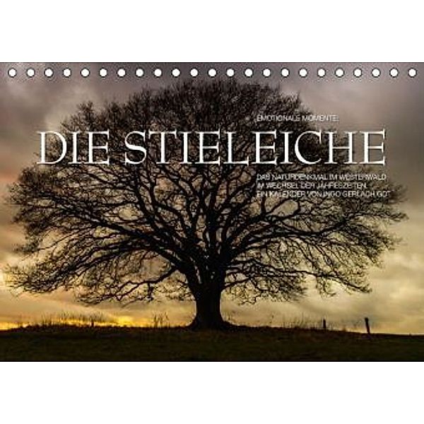 Emotionale Momente: Die Stieleiche / AT-Version (Tischkalender 2015 DIN A5 quer), Ingo Gerlach