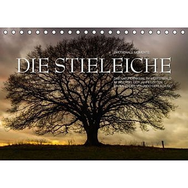 Emotionale Momente: Die Stieleiche / CH-Version (Tischkalender 2016 DIN A5 quer), Ingo Gerlach