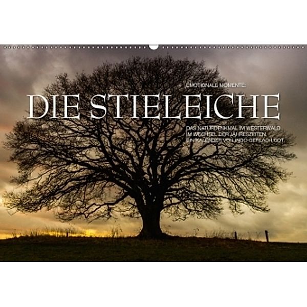 Emotionale Momente: Die Stieleiche / CH-Version (Wandkalender 2017 DIN A2 quer), Ingo Gerlach