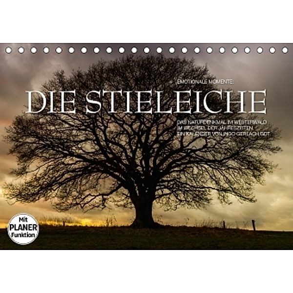 Emotionale Momente: Die Stieleiche (Tischkalender 2017 DIN A5 quer), Ingo Gerlach
