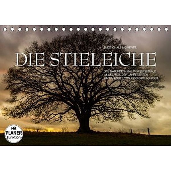 Emotionale Momente: Die Stieleiche (Tischkalender 2020 DIN A5 quer), Ingo Gerlach GDT