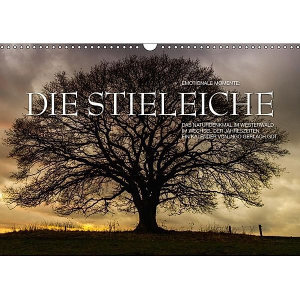 Emotionale Momente: Die Stieleiche (Wandkalender 2017 DIN A3 quer), Ingo Gerlach, Ingo Gerlach GDT