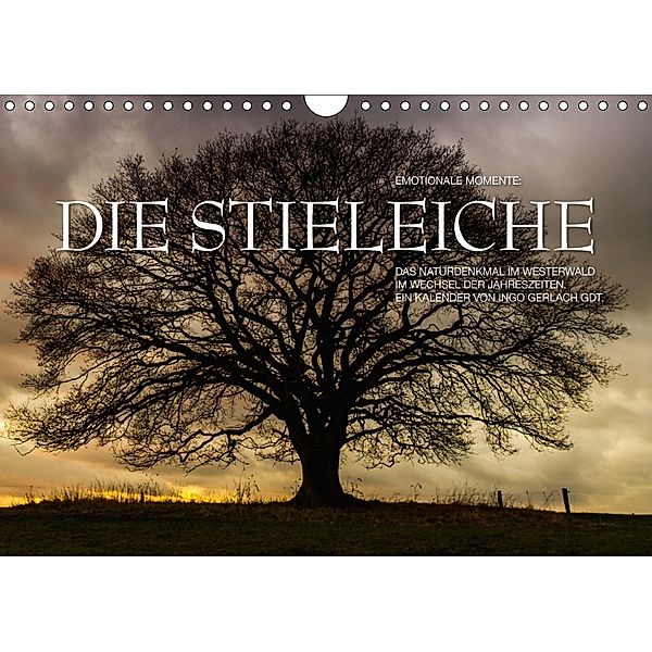 Emotionale Momente: Die Stieleiche (Wandkalender 2018 DIN A4 quer), Ingo Gerlach, Ingo Gerlach GDT
