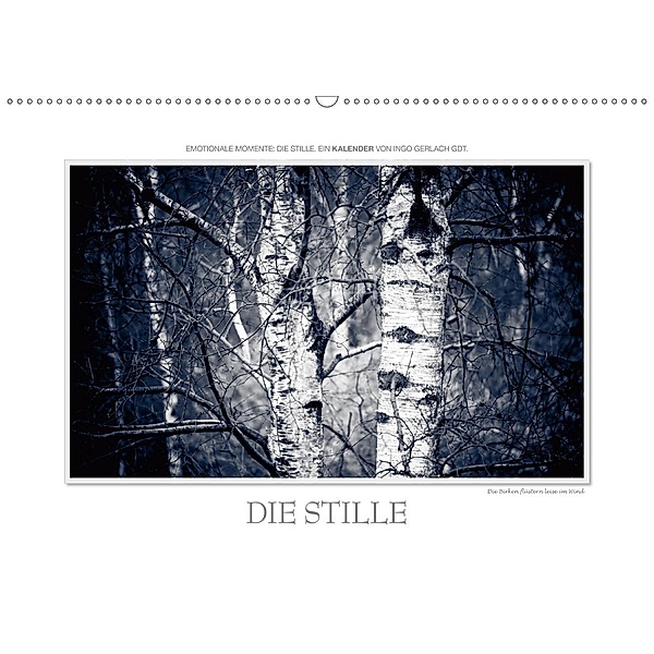 Emotionale Momente: Die Stille. / CH-Version (Wandkalender 2020 DIN A2 quer), Ingo Gerlach GDT
