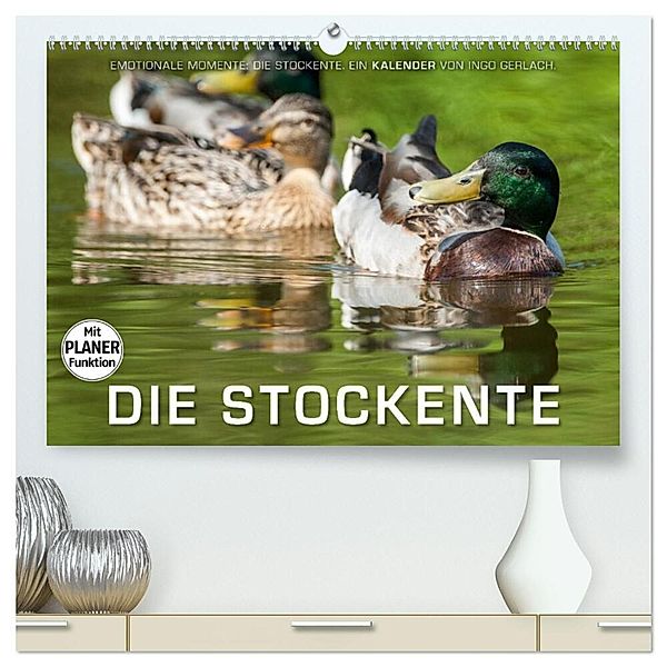 Emotionale Momente: Die Stockente. (hochwertiger Premium Wandkalender 2024 DIN A2 quer), Kunstdruck in Hochglanz, Ingo Gerlach