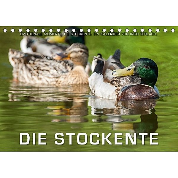 Emotionale Momente: Die Stockente. (Tischkalender 2017 DIN A5 quer), Ingo Gerlach