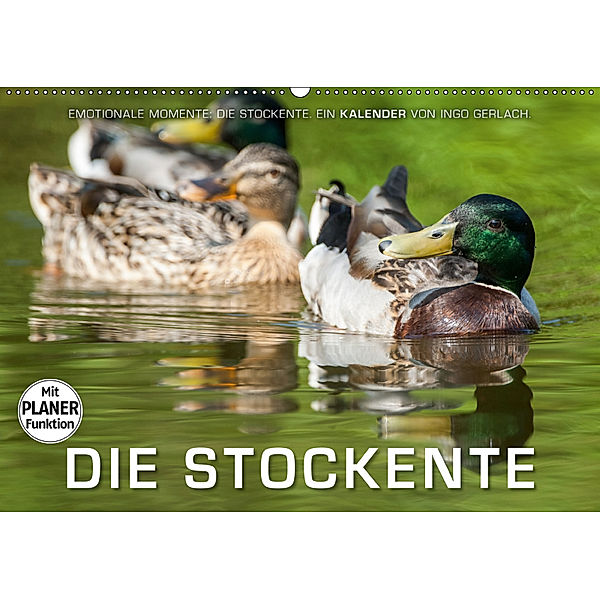 Emotionale Momente: Die Stockente. (Wandkalender 2019 DIN A2 quer), Ingo Gerlach