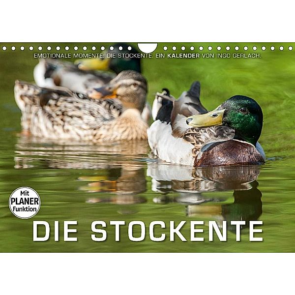 Emotionale Momente: Die Stockente. (Wandkalender 2023 DIN A4 quer), Ingo Gerlach