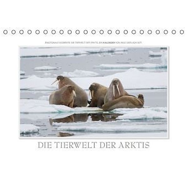 Emotionale Momente: Die Tierwelt der Arktis / AT-Version (Tischkalender 2015 DIN A5 quer), Ingo Gerlach