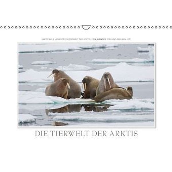 Emotionale Momente: Die Tierwelt der Arktis / AT-Version (Wandkalender 2015 DIN A3 quer), Ingo Gerlach