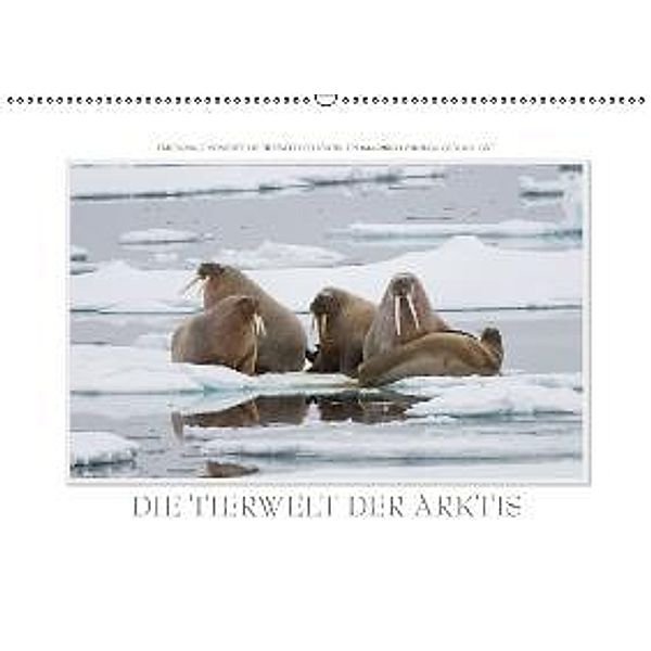 Emotionale Momente: Die Tierwelt der Arktis / CH-Version (Wandkalender 2015 DIN A2 quer), Ingo Gerlach