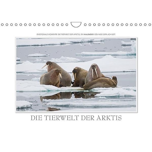 Emotionale Momente: Die Tierwelt der Arktis / CH-Version (Wandkalender 2017 DIN A4 quer), Ingo Gerlach
