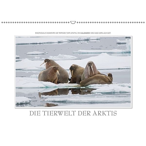 Emotionale Momente: Die Tierwelt der Arktis / CH-Version (Wandkalender 2018 DIN A2 quer), Ingo Gerlach GDT
