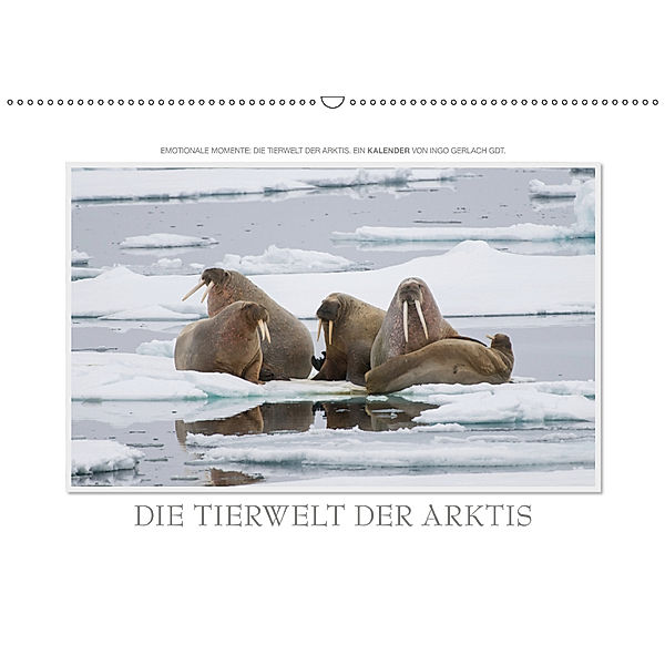 Emotionale Momente: Die Tierwelt der Arktis / CH-Version (Wandkalender 2019 DIN A2 quer), Ingo Gerlach