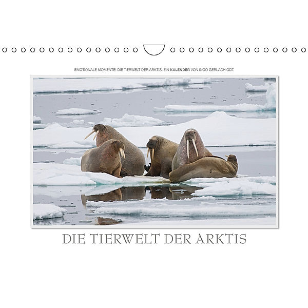 Emotionale Momente: Die Tierwelt der Arktis / CH-Version (Wandkalender 2019 DIN A4 quer), Ingo Gerlach