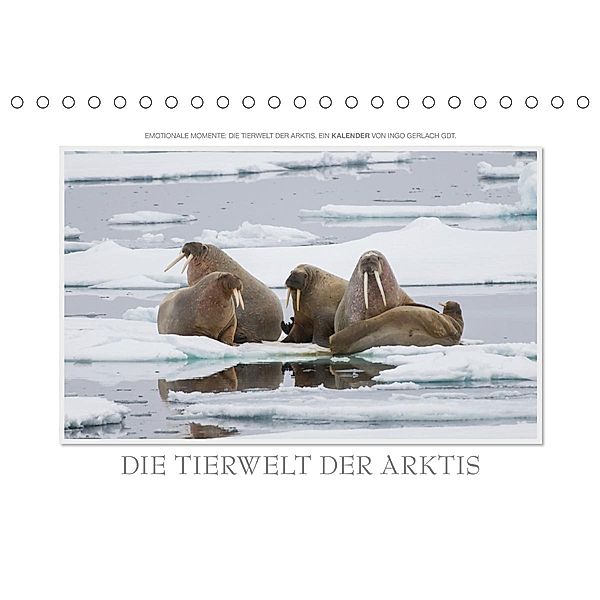 Emotionale Momente: Die Tierwelt der Arktis / CH-Version (Tischkalender 2020 DIN A5 quer), Ingo Gerlach GDT