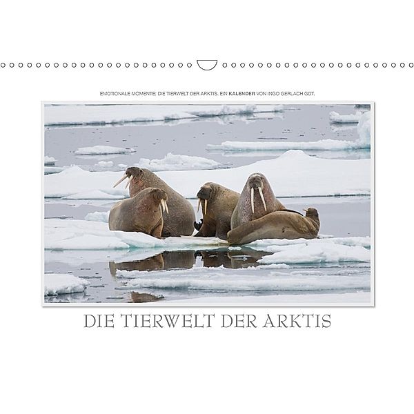 Emotionale Momente: Die Tierwelt der Arktis / CH-Version (Wandkalender 2021 DIN A3 quer), Ingo Gerlach GDT