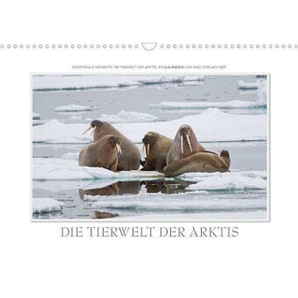 Emotionale Momente: Die Tierwelt der Arktis / CH-Version (Wandkalender 2022 DIN A3 quer), Ingo Gerlach GDT
