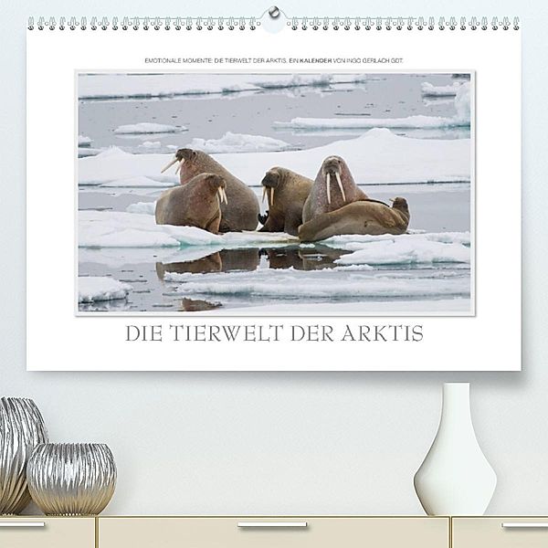 Emotionale Momente: Die Tierwelt der Arktis / CH-Version (Premium, hochwertiger DIN A2 Wandkalender 2023, Kunstdruck in, Ingo Gerlach GDT