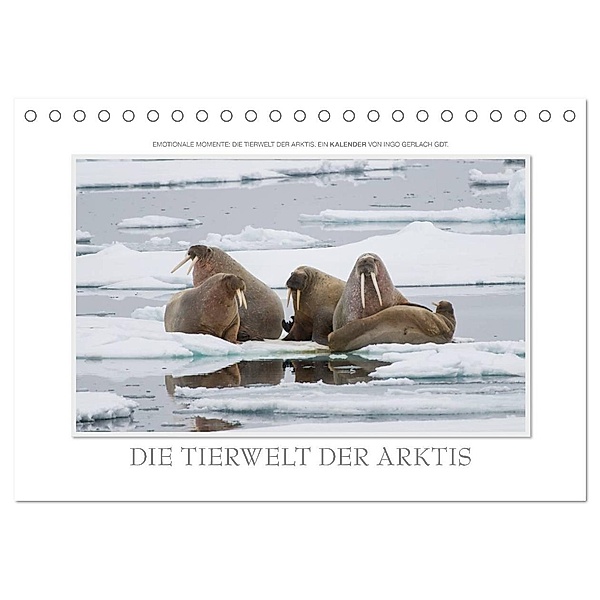 Emotionale Momente: Die Tierwelt der Arktis / CH-Version (Tischkalender 2024 DIN A5 quer), CALVENDO Monatskalender, Ingo Gerlach GDT