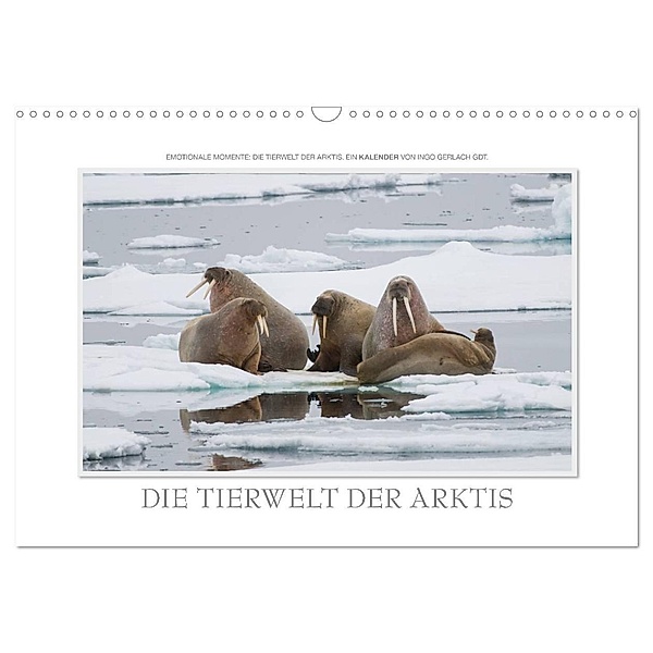 Emotionale Momente: Die Tierwelt der Arktis / CH-Version (Wandkalender 2024 DIN A3 quer), CALVENDO Monatskalender, Ingo Gerlach GDT