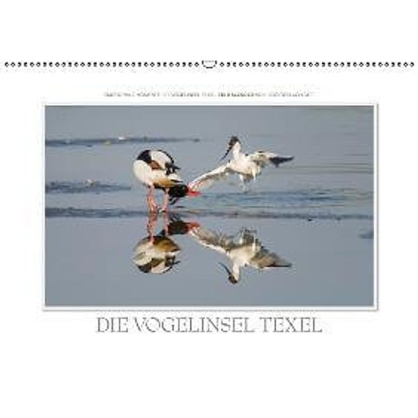 Emotionale Momente: Die Vogelinsel Texel. / CH-Version (Wandkalender 2015 DIN A2 quer), Ingo Gerlach