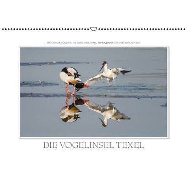 Emotionale Momente: Die Vogelinsel Texel. / CH-Version (Wandkalender 2016 DIN A2 quer), Ingo Gerlach