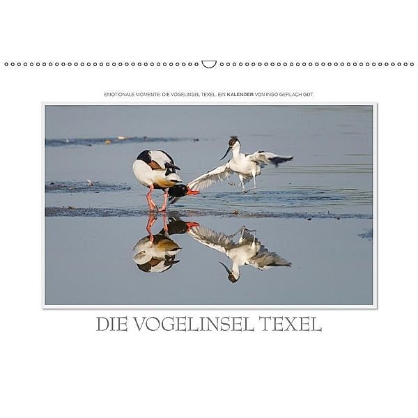 Emotionale Momente: Die Vogelinsel Texel. / CH-Version (Wandkalender 2017 DIN A2 quer), Ingo Gerlach