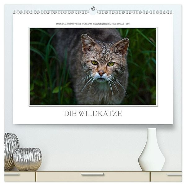 Emotionale Momente: Die Wildkatze. (hochwertiger Premium Wandkalender 2024 DIN A2 quer), Kunstdruck in Hochglanz, Ingo Gerlach GDT