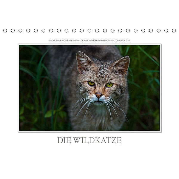 Emotionale Momente: Die Wildkatze. (Tischkalender 2019 DIN A5 quer), Ingo Gerlach
