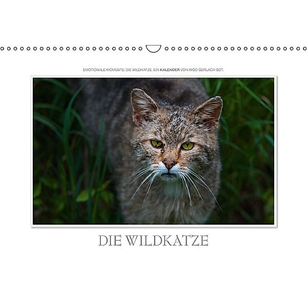 Emotionale Momente: Die Wildkatze. (Wandkalender 2014 DIN A3 quer), Ingo Gerlach