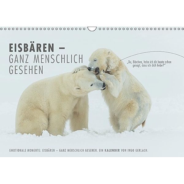 Emotionale Momente: Eisbären - ganz menschlich gesehen. (Wandkalender 2017 DIN A3 quer), Ingo Gerlach