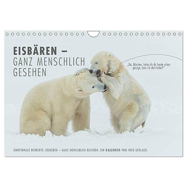 Emotionale Momente: Eisbären - ganz menschlich gesehen. (Wandkalender 2025 DIN A4 quer), CALVENDO Monatskalender, Calvendo, Ingo Gerlach