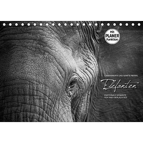 Emotionale Momente: Elefanten in black and white (Tischkalender 2020 DIN A5 quer), Ingo Gerlach GDT