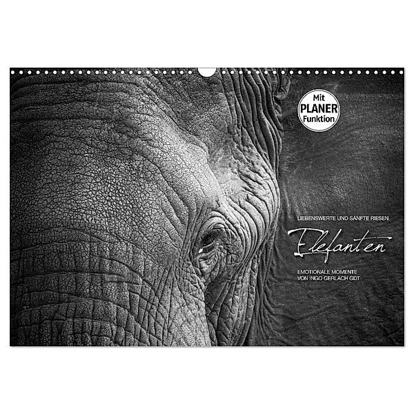 Emotionale Momente: Elefanten in black and white (Wandkalender 2024 DIN A3 quer), CALVENDO Monatskalender, Ingo Gerlach GDT
