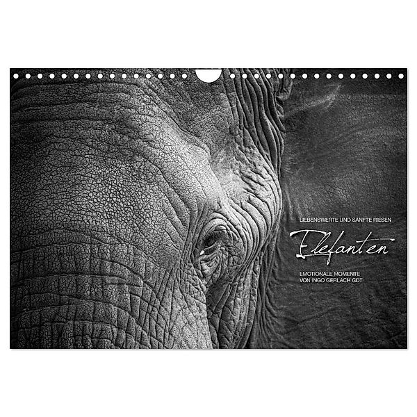 Emotionale Momente: Elefanten in black & white (Wandkalender 2024 DIN A4 quer), CALVENDO Monatskalender, Ingo Gerlach GDT