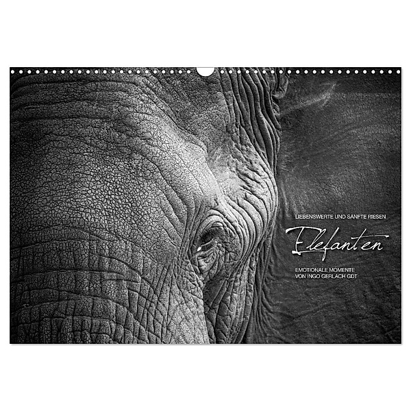 Emotionale Momente: Elefanten in black & white (Wandkalender 2024 DIN A3 quer), CALVENDO Monatskalender, Ingo Gerlach GDT