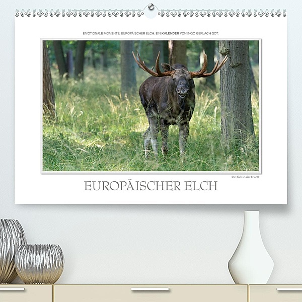 Emotionale Momente: Europäischer Elch. / CH-Version(Premium, hochwertiger DIN A2 Wandkalender 2020, Kunstdruck in Hochgl, Ingo Gerlach GDT