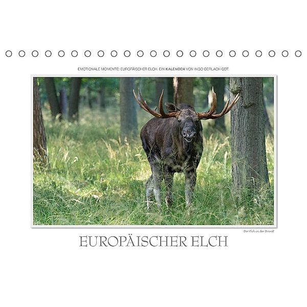Emotionale Momente: Europäischer Elch. / CH-Version (Tischkalender 2023 DIN A5 quer), Ingo Gerlach GDT