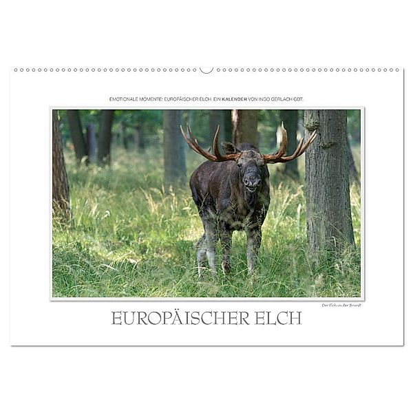 Emotionale Momente: Europäischer Elch. / CH-Version (Wandkalender 2024 DIN A2 quer), CALVENDO Monatskalender, Ingo Gerlach GDT